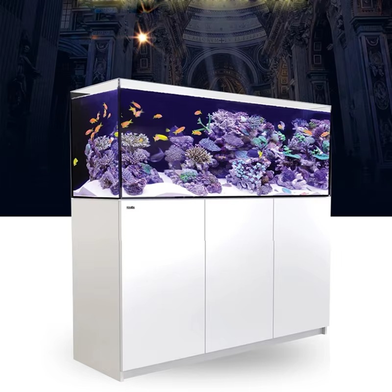 Accesorios para acuarios de al - Aquarium Marine Setup reseña y precio