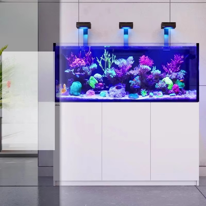 Accesorios para acuarios de al - Aquarium Marine Setup reseña y precio