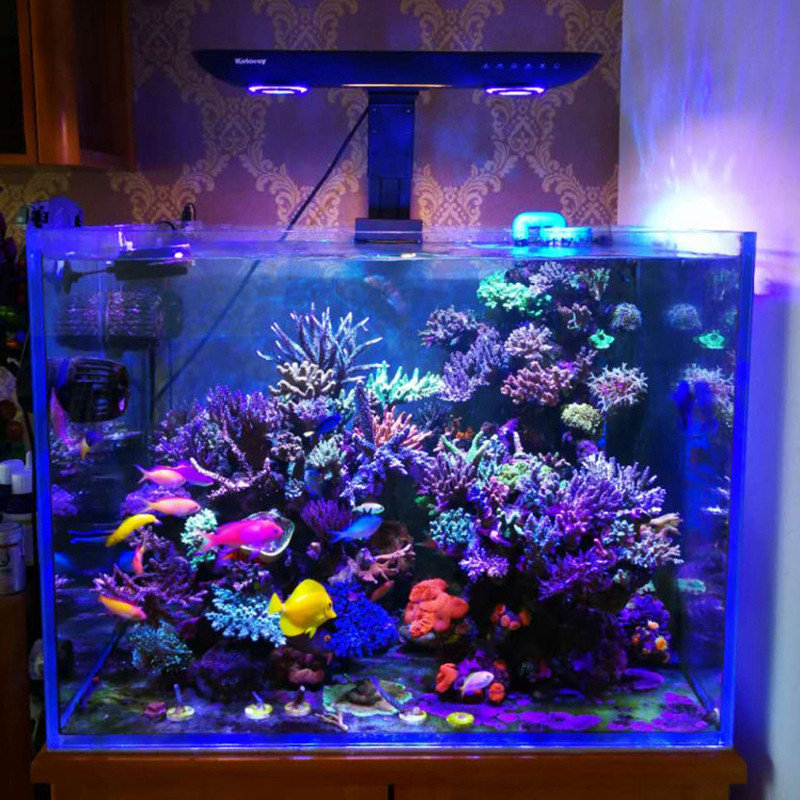 Lámpara LED de espectro comple - Marine Aquarium Led Lights reseña y precio